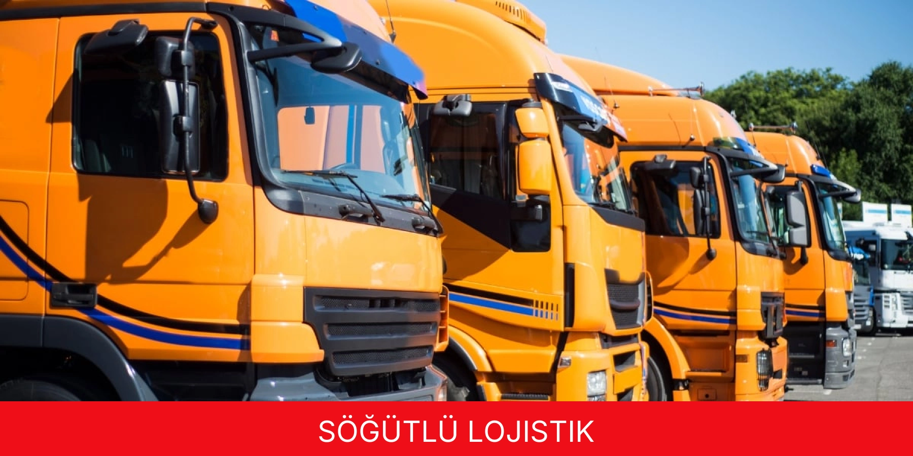 Söğütlü Lojistik